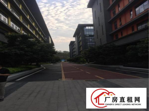 
观澜高薪产业园区楼上带豪华装修400写字楼招租