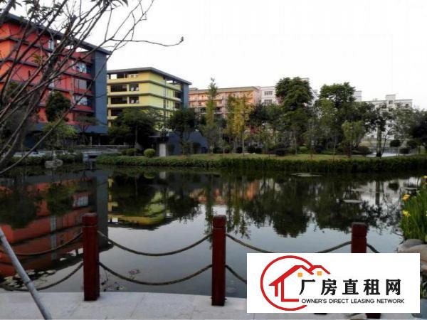 
观澜高薪产业园区楼上带豪华装修400写字楼招租