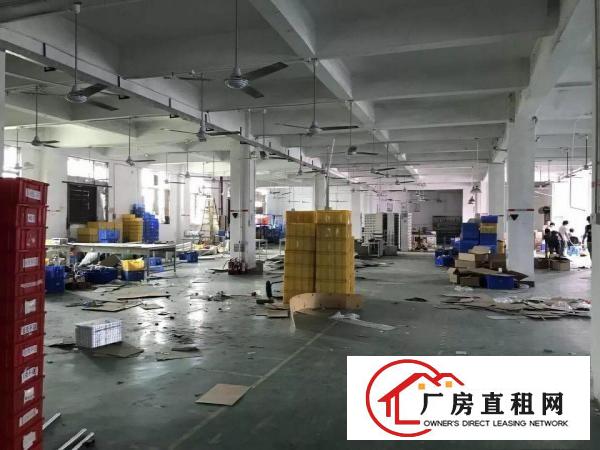 
观澜君子布原房东厂房出租单层面积1500平方带装修