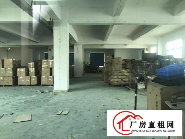 
观澜君子布原房东厂房出租单层面积1500平方带装修