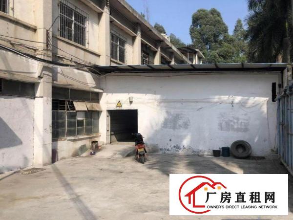 
观澜小独院厂房二层1600平出租带独立院子装修