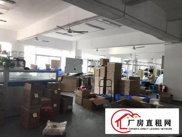 
观澜章阁厂房出租950平带精装修