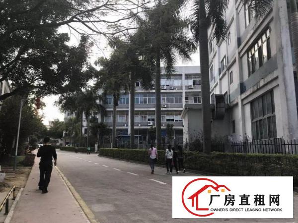 
原房东厂房出租4500平形象好