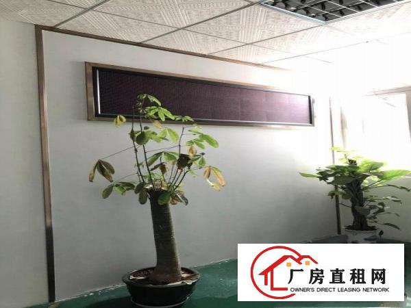
观澜福前路边厂房出租整层900平带装修