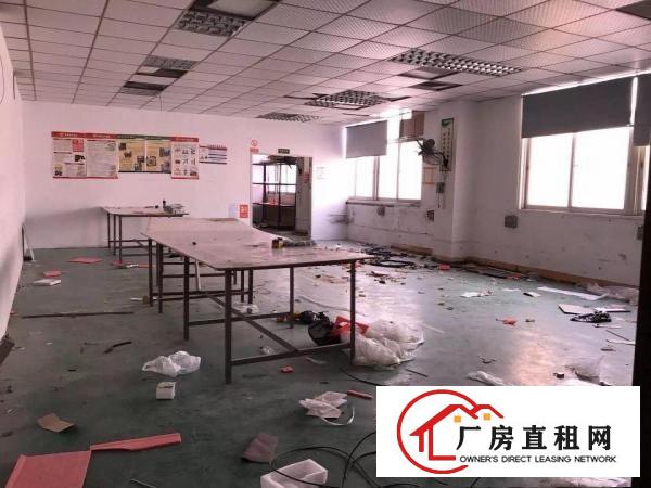 
观澜福民精英小学旁带装修厂房620平不用转让费