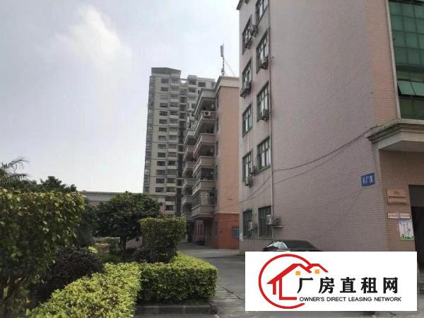 
观澜福民精英小学旁带装修厂房620平不用转让费