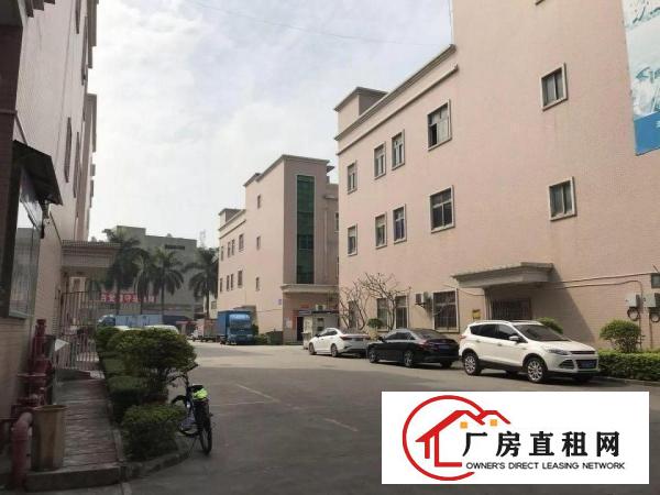 
观澜福民精英小学旁带装修厂房620平不用转让费