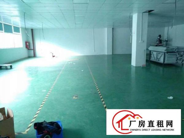 
观澜福民1000平方厂房带装修不要转让费现房