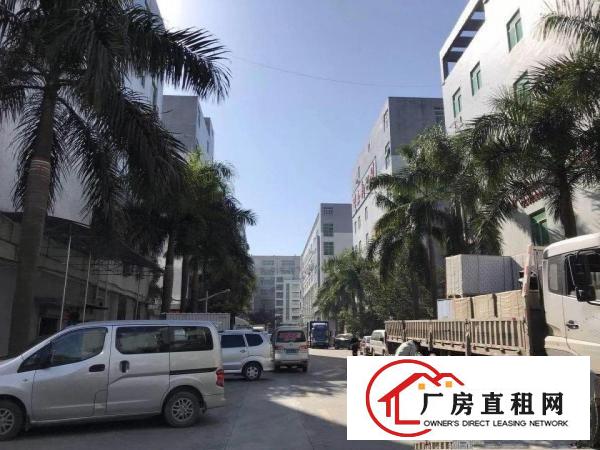 
观澜福民1000平方厂房带装修不要转让费现房