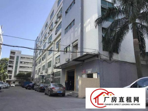 
观澜福民1000平方厂房带装修不要转让费现房