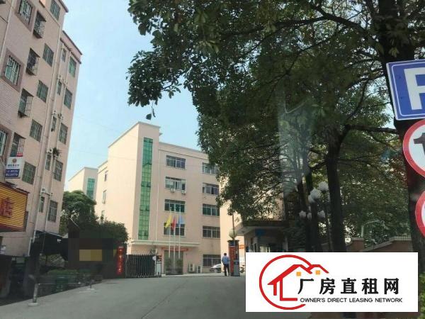 
观澜8400平厂房出租