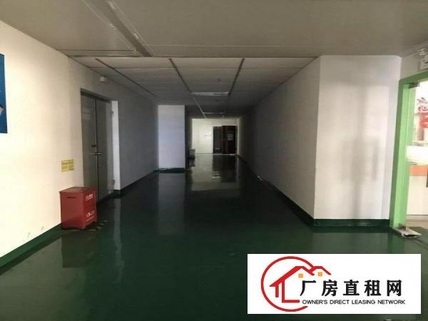 
观澜无尘车间3500平方转租光电行业