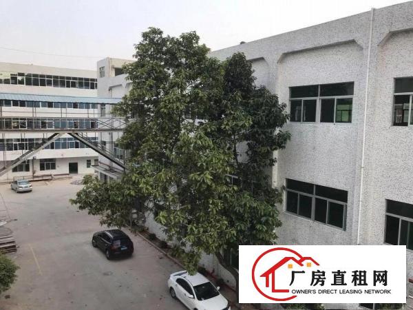 
独院独栋厂房出租3350平方