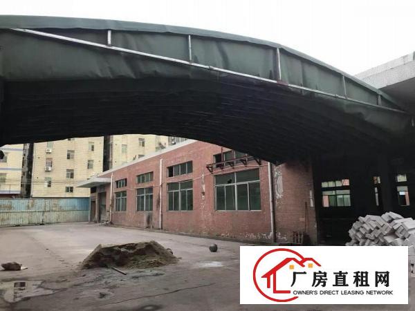 
观澜独院厂房出租1500平独立小院