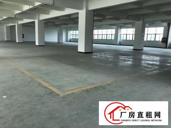 
观澜独院厂房出租1500平独立小院