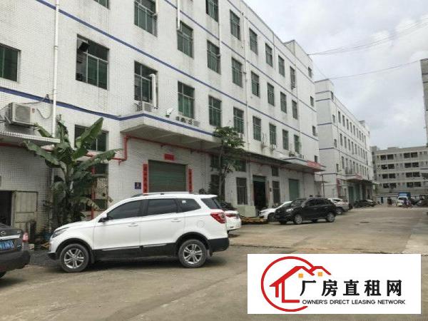
观澜高尔夫附近900平二楼带装修厂房出租