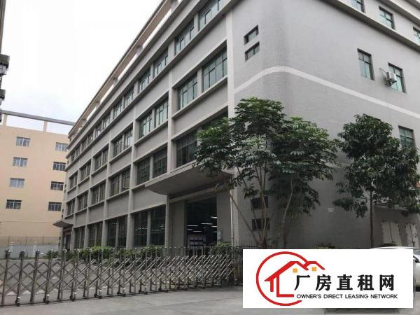 
外国语学校附近800平带装修厂房出租