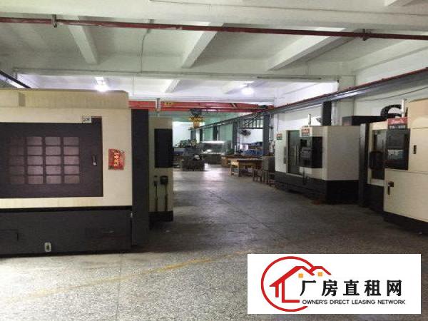 
观澜观光路章阁厂房原无公摊1楼标准厂房1200平米