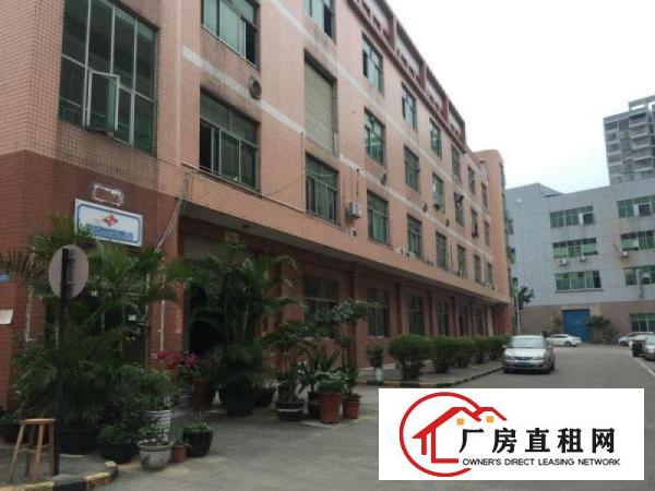 
观澜观光路章阁厂房原无公摊1楼标准厂房1200平米