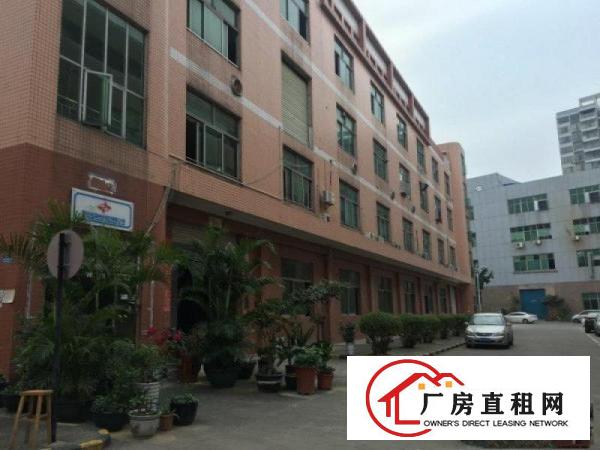 
观澜观光路章阁厂房原无公摊1楼标准厂房1200平米