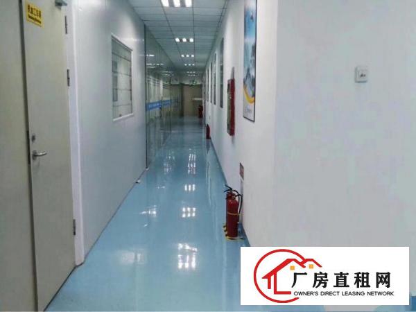 
观澜梅观高速大型工业园内新出原房东厂房850平方