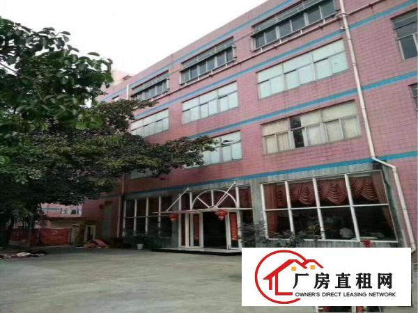 
《可做幼儿园》观澜新出独门独院带红本厂房4500