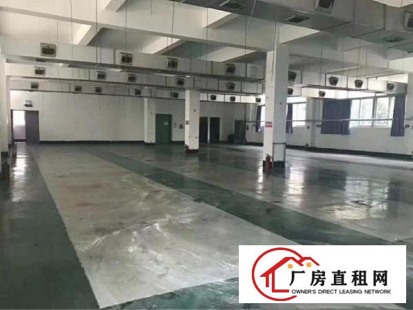 
《可做幼儿园》观澜新出独门独院带红本厂房4500