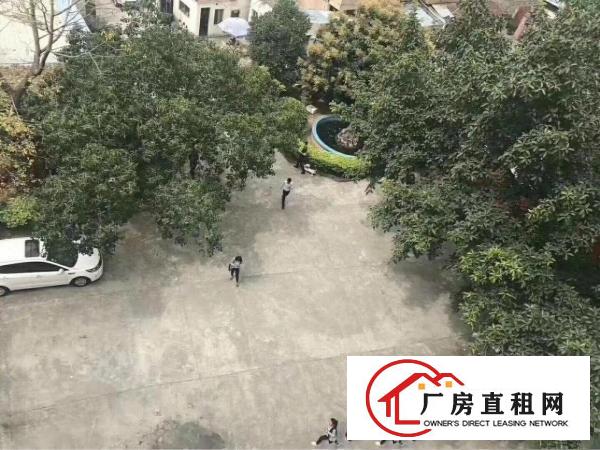 
《可做幼儿园》观澜新出独门独院带红本厂房4500