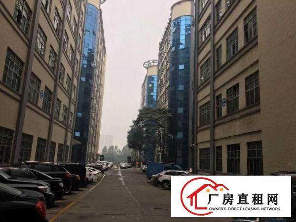 
观澜大道边新出10000平方，大少可以分组