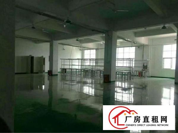 
观澜章阁新出800平方，精装修，钢化玻璃办公室