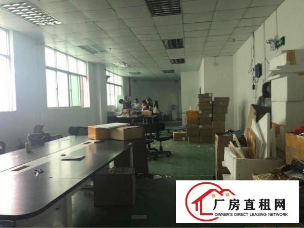 
观澜泗黎路边新出300平方，水电齐全，办公室装修
