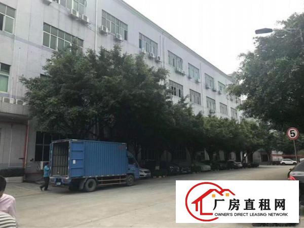 
观澜新出原房东厂房，12656平方独栋