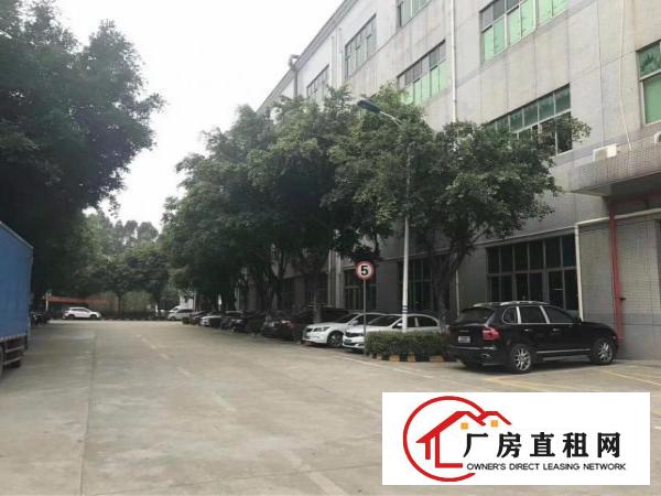 
观澜新出原房东厂房，12656平方独栋