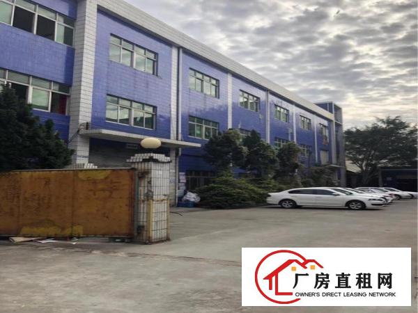 
靓盘出租福民新出独院1栋13层共3600