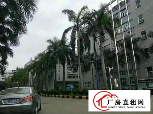 
龙华观澜章阁大富工业区楼上1200平带装修标准厂房