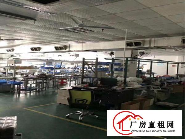 
观澜大富工业区新出三楼精装修厂房800平方拎包入住