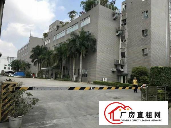 
观澜梅观高速出口全新厂房出租，大小可分