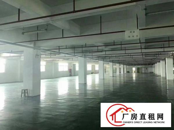 
独院厂房招租。可分租，带装修