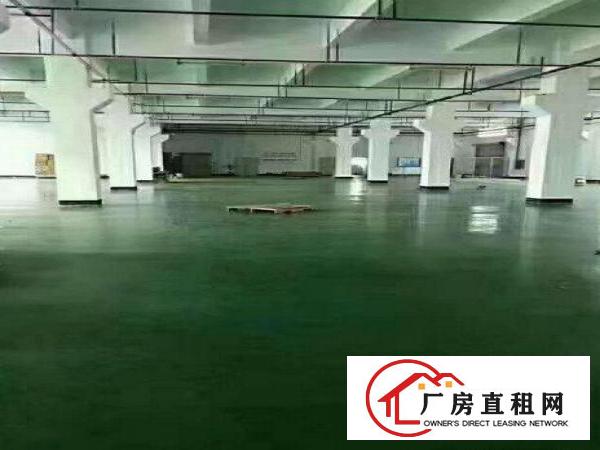 
急租观澜君子布新空出一楼2200平标准厂房出租