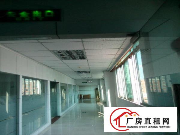 
急租观澜君子布新空出一楼2200平标准厂房出租