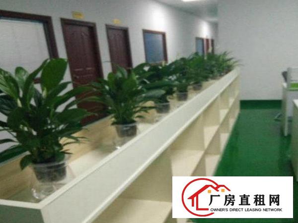 
火爆推出，观澜松元新空出楼上500平精装修标准厂房