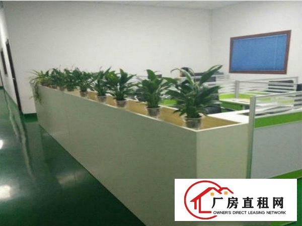 
火爆推出，观澜松元新空出楼上500平精装修标准厂房