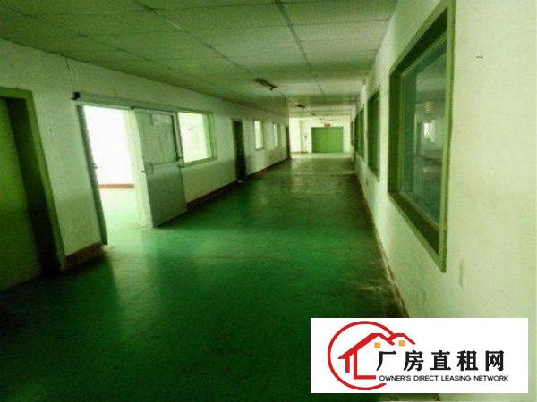 
急租！观澜桂花新出标准整层一楼1380平方厂房出租