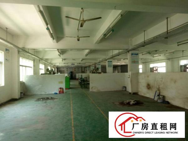 
福民茜坑路三楼1280平一整层业主厂房招租