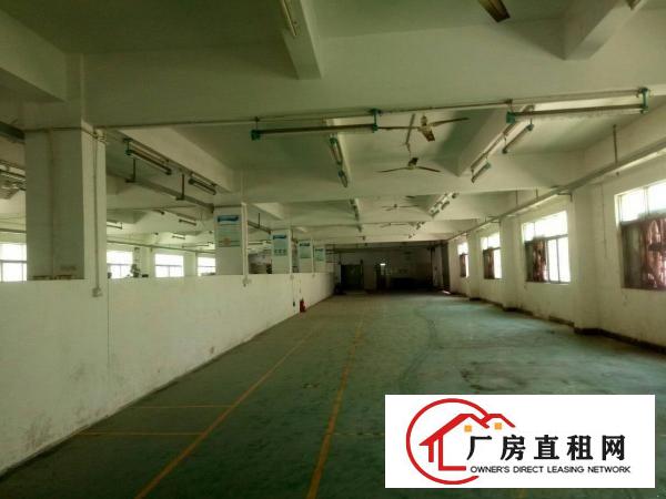 
福民茜坑路三楼1280平一整层业主厂房招租