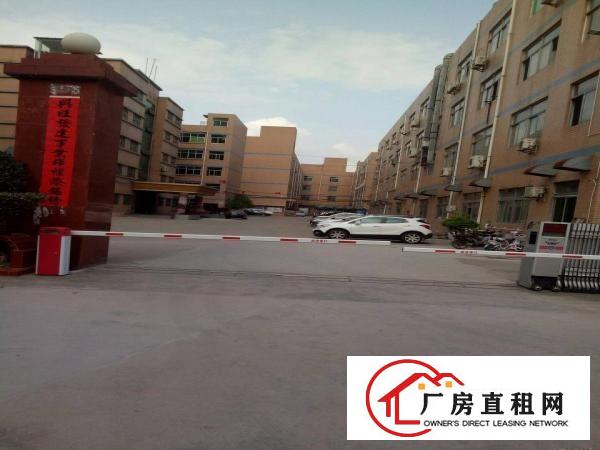 
福民茜坑路三楼1280平一整层业主厂房招租