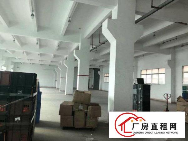 
观澜福民新出一楼1000平面积实在原房东