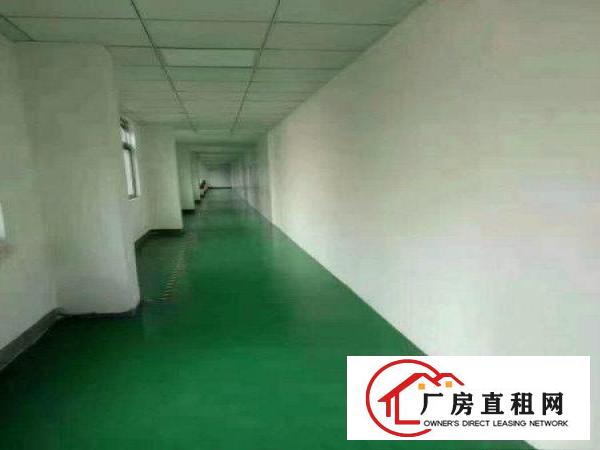 
观澜福民厂房2000平米出租