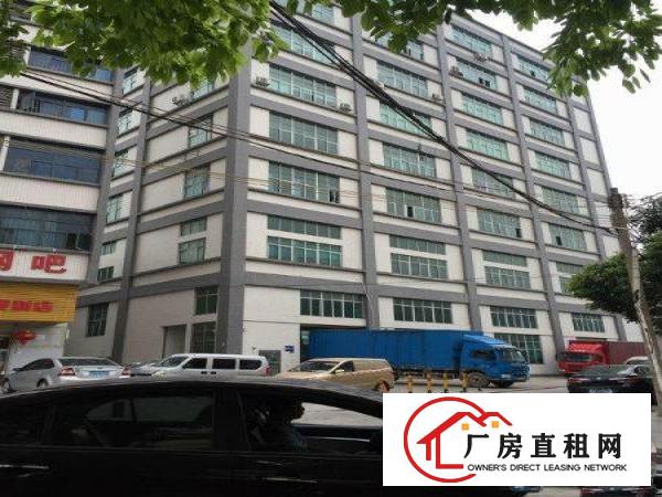 
龙华区观澜环观南路，面积2800平方米