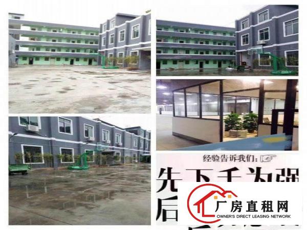 
观兰第三工业区盈丰路厂房出租可分租